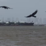 6627888dbbf1f9bbf86607d9f57bad7c