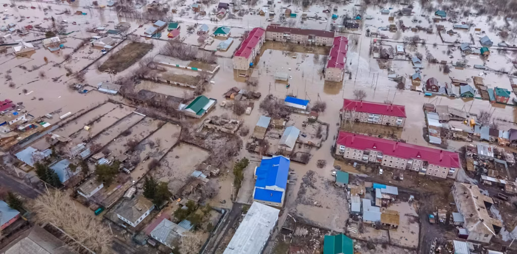 file-20250429-56-q1v69j