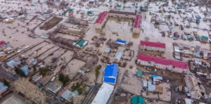 file-20250429-56-q1v69j