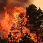 2026-08-02T205325Z_1735262934_RC2CQMA8UHF5_RTRMADP_3_EUROPE-WEATHER-GREECE-WILDFIRES