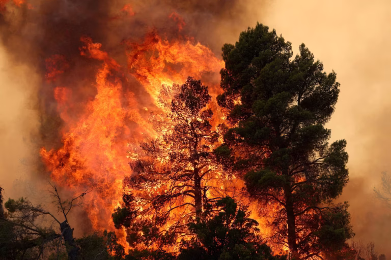 2026-08-02T205325Z_1735262934_RC2CQMA8UHF5_RTRMADP_3_EUROPE-WEATHER-GREECE-WILDFIRES